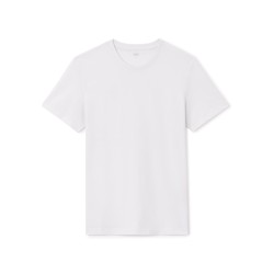 Tee shirt "le parfait by JULES"